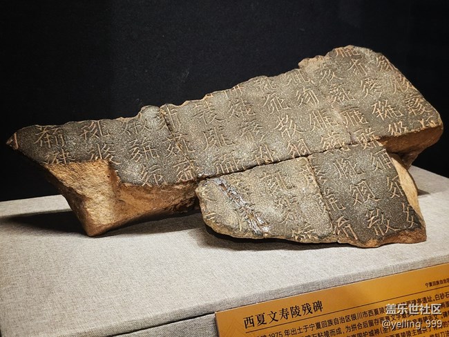 上海星部落5月24日賀蘭山下桃花石線下攝影活動(dòng)回顧帖