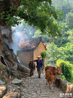 松陽(yáng)楊家堂村