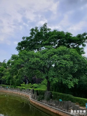 【悅見小滿】久旱逢甘霖