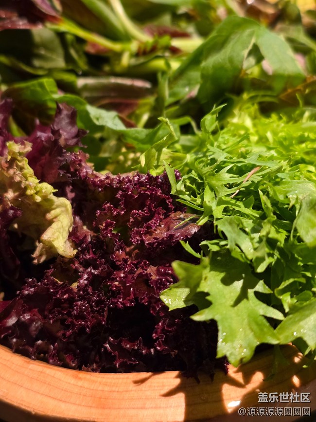 三星S25 Edge上手評測：輕薄美學下的日常實力派