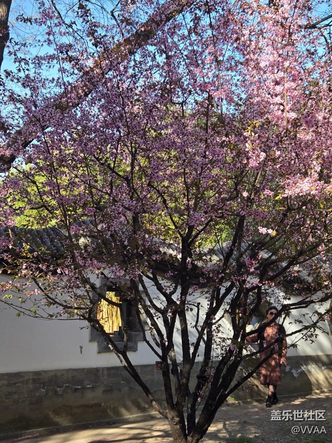 【 長焦與微距】長焦取景