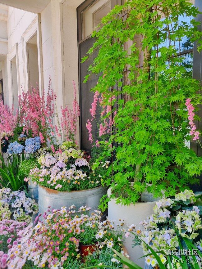 【京順園公園】夏日慵懶法式風(fēng)公園游記