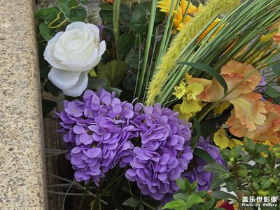 【悅見(jiàn)小滿】+一些花