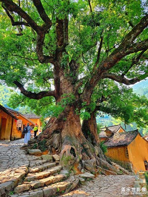 松陽(yáng)楊家堂村