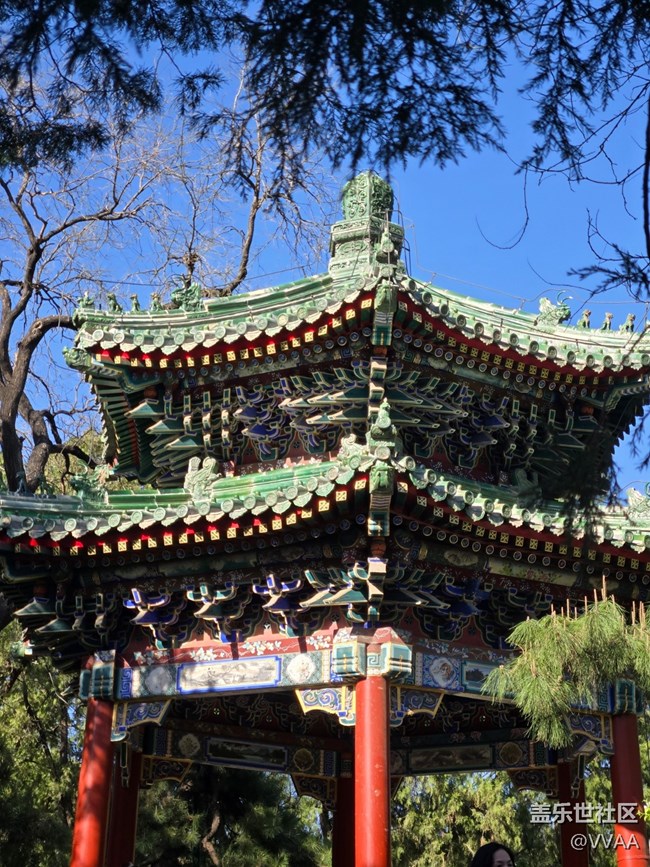 【 長焦與微距】長焦取景