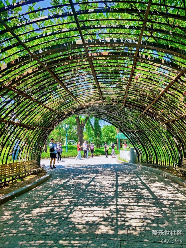 【京順園公園】夏日慵懶法式風(fēng)公園游記
