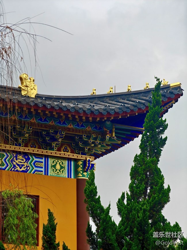 【Galaxy影像】#立夏·初夏之約 【Galaxy影像】#立夏·初夏之約