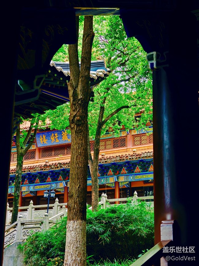 【Galaxy影像】#立夏·初夏之約 【Galaxy影像】#立夏·初夏之約