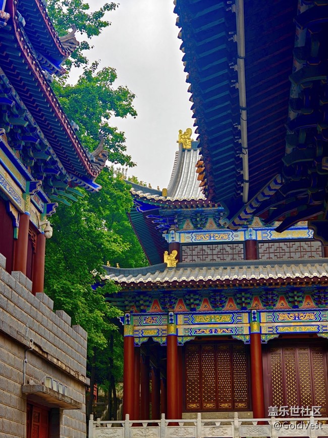 【Galaxy影像】#立夏·初夏之約 【Galaxy影像】#立夏·初夏之約