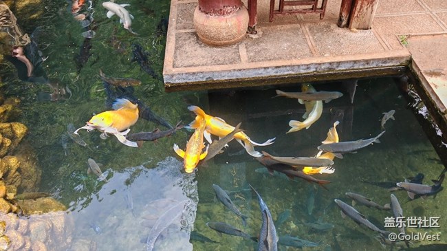 【Galaxy影像】#立夏·初夏之約 【Galaxy影像】#立夏·初夏之約