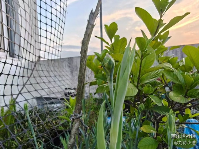 【Galaxy影像】#立夏·初夏之約