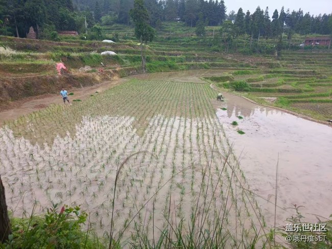 【Galaxy影像】#立夏·初夏之約