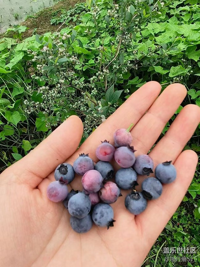 【Galaxy影像】#立夏·初夏之約