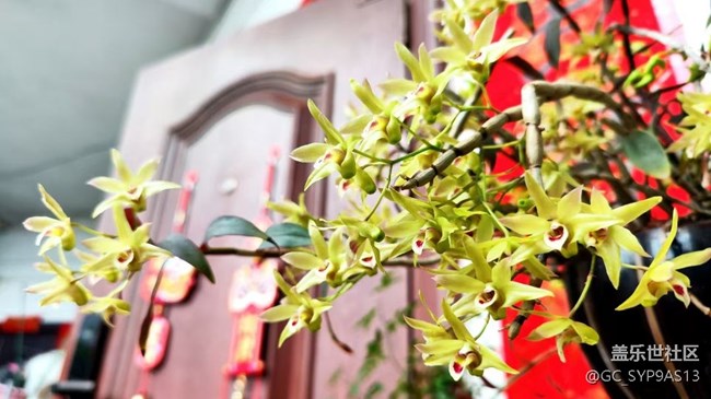 【Galaxy影像】#立夏·初夏之約