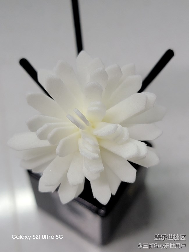 【發(fā)現(xiàn)身邊的對稱之美】對稱的藝術(shù)