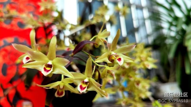 【Galaxy影像】#立夏·初夏之約