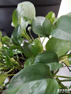 早上好123english???