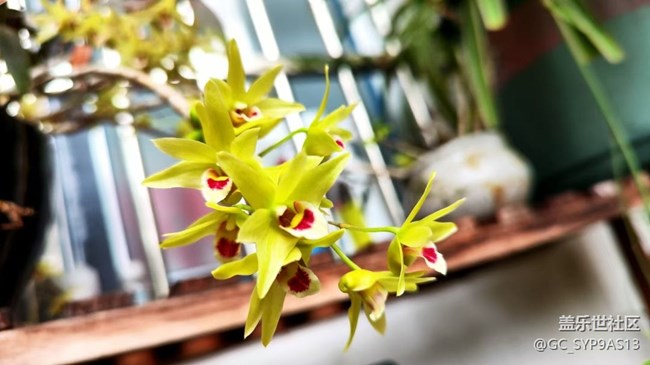 【Galaxy影像】#立夏·初夏之約