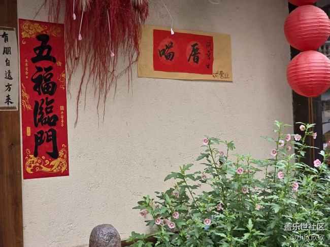 春游線下攝影活動