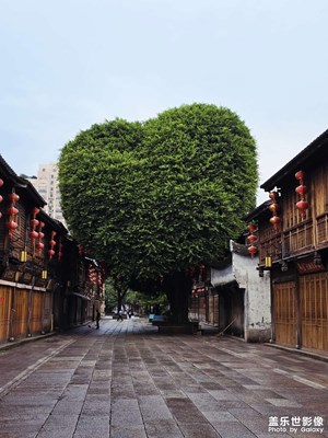 【城市漫步】三坊七巷