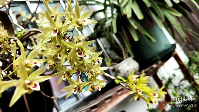 【Galaxy影像】#立夏·初夏之約