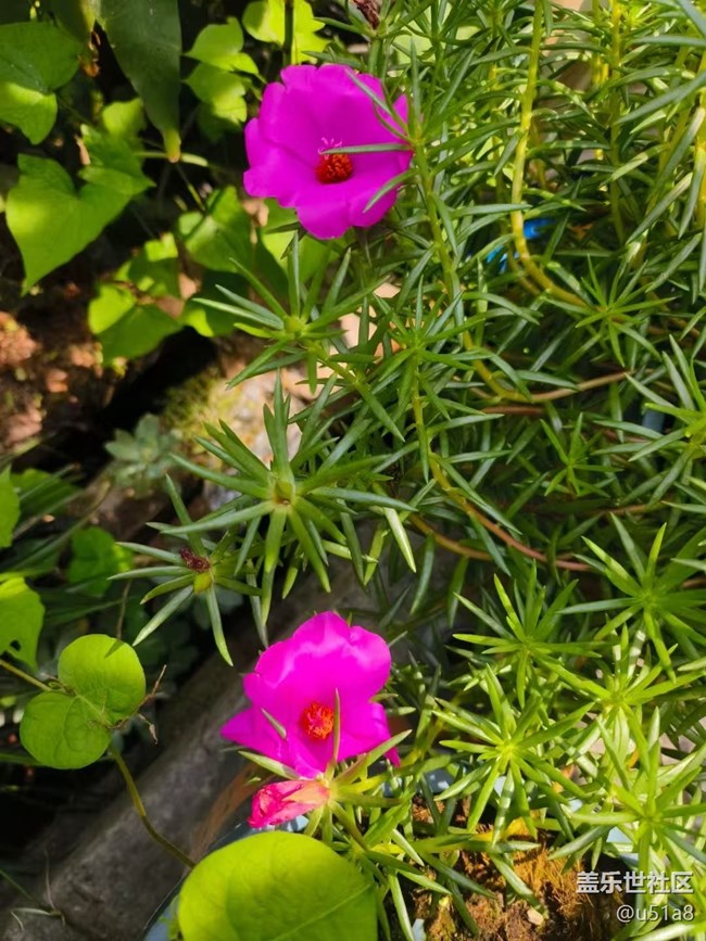 【Galaxy影像】#立夏·初夏之約