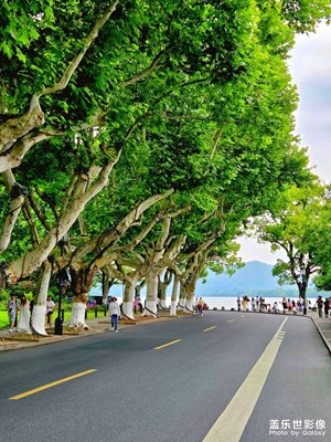 杭州最美轉(zhuǎn)角