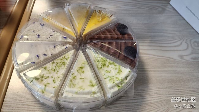 春游線下攝影活動