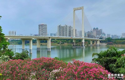 【城市漫步】花滿(mǎn)綠城