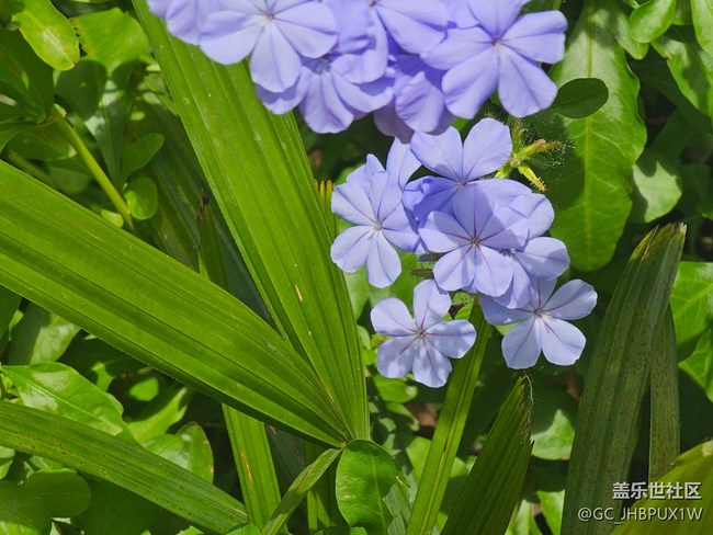【生活碎片】人行天橋
