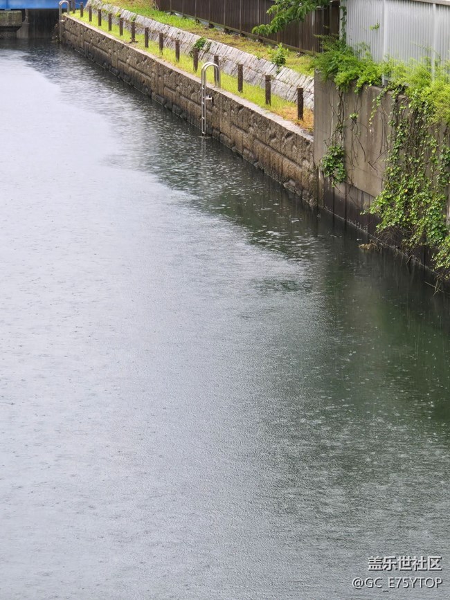 【金陵光影漂流計劃】雨，花與河