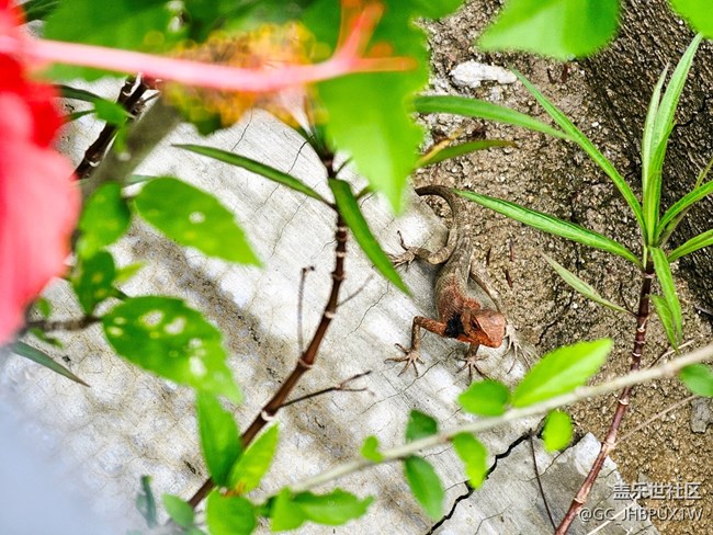 【Galaxy影像】#立夏·初夏之約