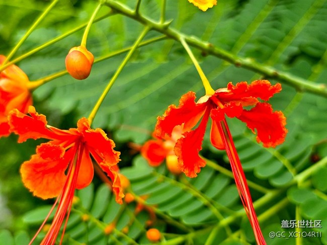 【Galaxy影像】#立夏·初夏之約