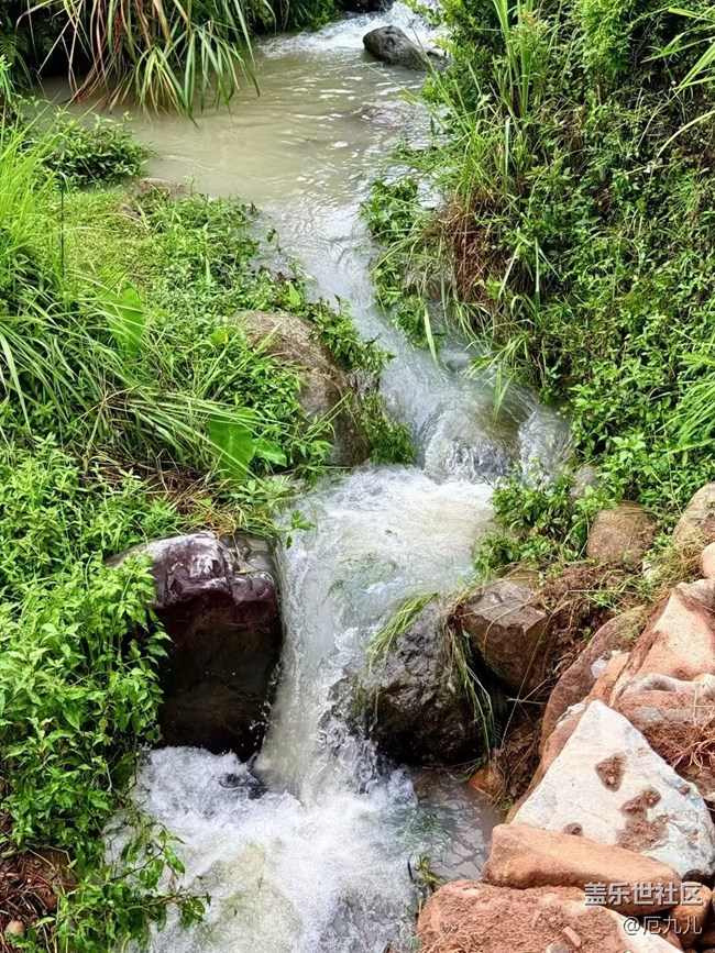 【Galaxy影像】#立夏·初夏之約