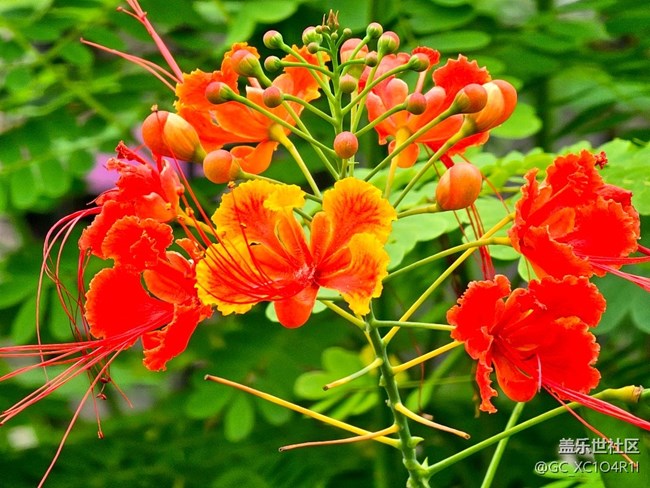 【Galaxy影像】#立夏·初夏之約