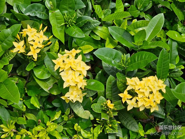 【生活碎片】人行天橋