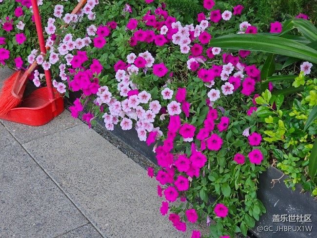 【生活碎片】人行天橋