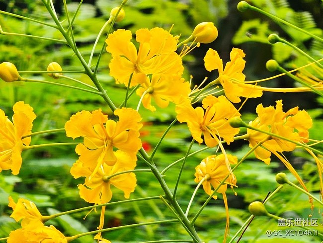 【Galaxy影像】#立夏·初夏之約