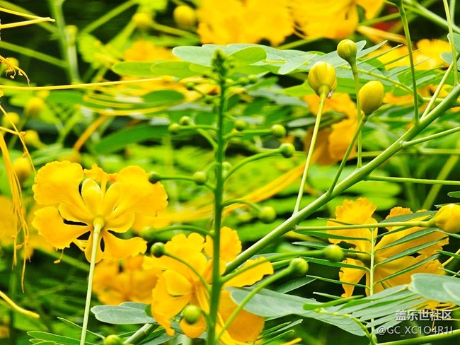 【Galaxy影像】#立夏·初夏之約