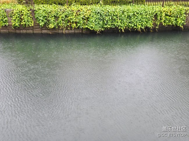 【金陵光影漂流計劃】雨，花與河