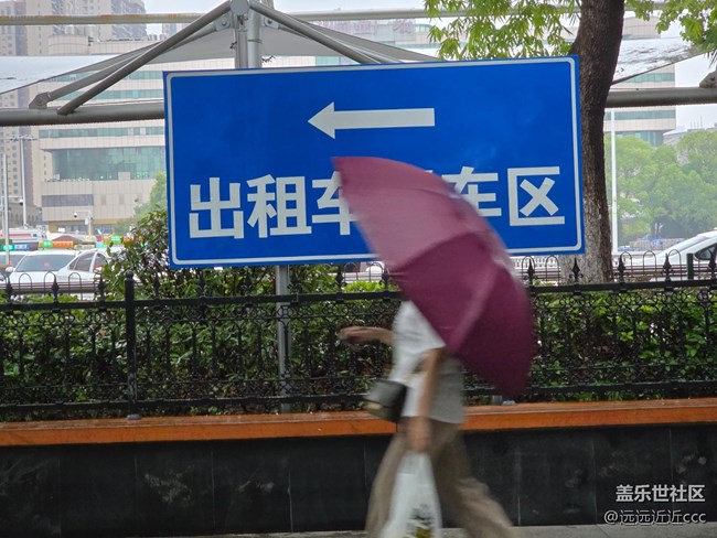【江城初夏】雨