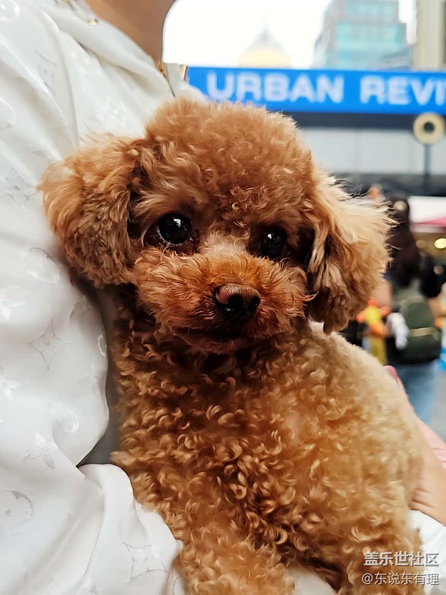 【豐盛里citywalk線下攝影活動】+在小丸子的世界里找回童年