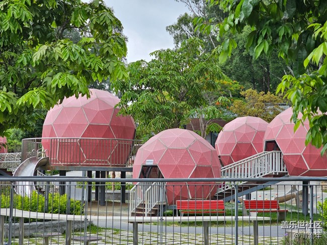 【Galaxy影像】#立夏·初夏之約