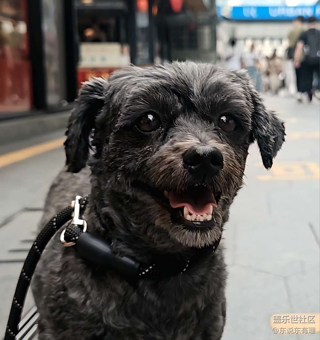 【豐盛里citywalk線下攝影活動】+在小丸子的世界里找回童年