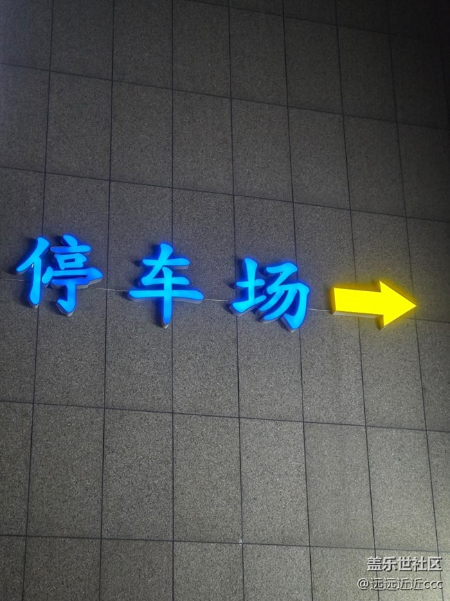 【五月物候觀察手冊】夜色