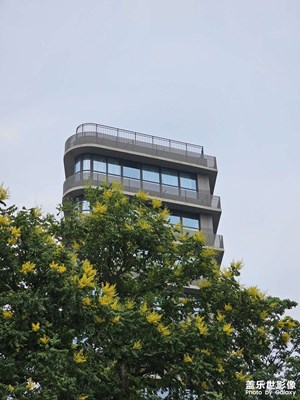 【城市漫步】+ 夏日綠洲