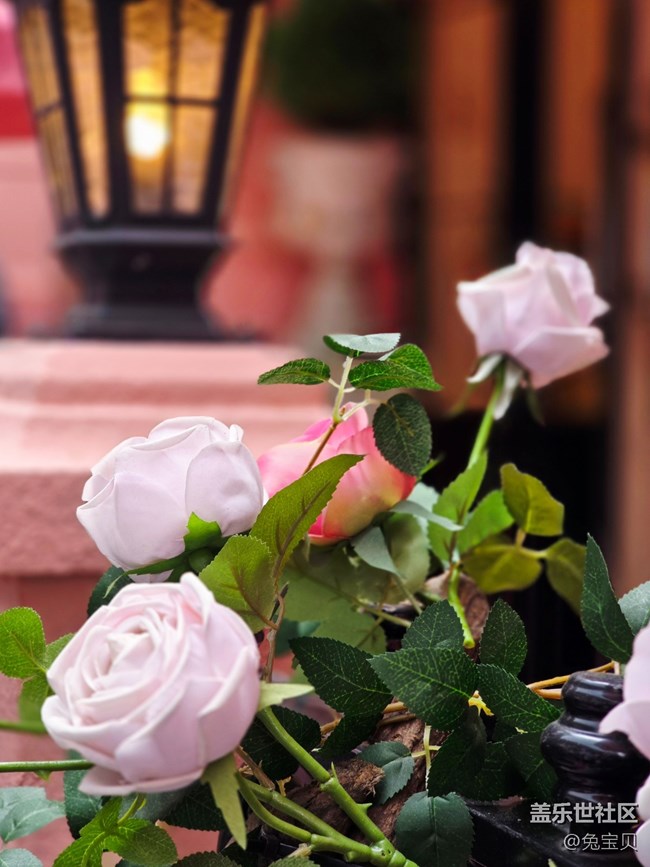 【豐盛里citywalk線下攝影活動】+櫻桃小丸子35周年快閃