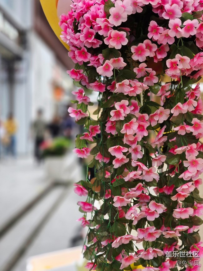 【豐盛里citywalk線下攝影活動】+櫻桃小丸子35周年快閃