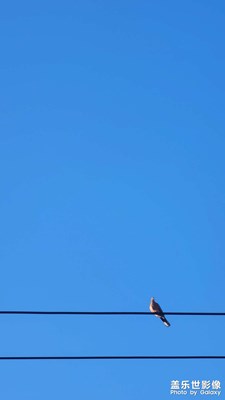 讓我想起了《七里香》