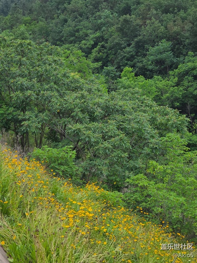 【五月物候觀察手冊】大自然